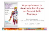 Appropriatezza in Anatomia Patologica nei Tumori dello Stomaco · nei Tumori dello Stomaco ... –Determinazione status HER2 (malattia localmente ... Carcinoma avanzato campionamento.