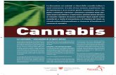 La discussione sui vantaggi e i danni della cannabis ... · in Europa la coltivazione e l’uso della canna - ... più diffusa è la cannabis sativa. Per utilizzarla come sostanza