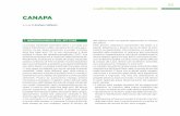 CANAPA - lazioterrenofertile.it · La canapa industriale (Cannabis sativa L.) è stata una coltura importante in Italia, ... coltivazione della canapa per la depurazione di aree