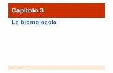 Le biomolecole - secondag.myblog.itsecondag.myblog.it/files/lezioni_cap3.pdf · Title: lezioni_cap3.ppt Author: Martina Created Date: 7/17/2006 12:58:49 PM