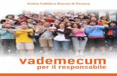 vademecum - Azione Cattolica Vicentina · 2013-12-22 · L’associazione per esserci e per funzionare ha bisogno di una propria ... degli animatori e degli educatori. Si programma