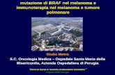 Giulio Metro S.C. Oncologia Medica Ospedale Santa Maria ...tecnlab/Materiale Didattico/2016/Oncologia Medica... · – PK and effect on QT interval and correlation on exposure using