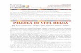 Carta dei valori de La Comune del Belgiolacomunedelbelgio.altervista.org/wp-content/uploads/2015/10/... · registrarsi alle autorità competenti. ... Cercaci su FB, ... Pillola di