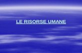 LE RISORSE UMANE - matteotti.it · -Relazioni industriali RISORSE ICT UMANE Gestione amministrativa del personale Gestione e sviluppo delle Risorse Umane. 3 ICT (Tecnologie dell’informazione