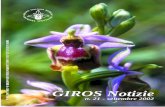 GIROS Notizie · Un anonimo “girino” sta fotografando le Ophrys tardans nel pomeriggio del 24 sprile 2002 foto di Bruno Barsella Ed ecco come si è presentata la stazione a Livio