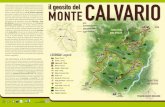 MONTE CALVARIO - Montefiorino · co o geositi, insieme alle altre componenti ambientali, formano il patrimonio naturale di un territorio e per- tanto meritano di essere valorizzati