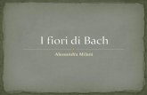 I fiori di Bach - fondazioneluvi.org · In questi tratti di personalità si vive la vita dell’altro come se fosse propria, impedendo all’oggetto di tanta attenzione di poter svolgere