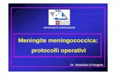 Meningite meningococcica: protocolli operativi · • Modalità di trasmissione • Diagnosi • Descrizione delle attività (procedure operative per i casi di malattia invasiva da