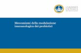 Meccanismi della modulazione immunologica dei probioticiceceditore.com/wp-content/uploads/2015/10/Lorenzo-Morelli.pdf · Meccanismi della modulazione immunitaria IMMAGIE IMMAGIE Nelle