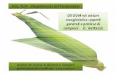 Gli OGM nel settore mangimistico: aspetti generali e ...cplps2.altervista.org/attachments/1372_170607 Presentazione... · Analisi del rischio di alimenti e mangimi geneticamente modificati