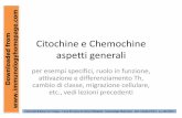 Citochine e Chemochine aspetti generali - Immunology HomePageimmunologyhomepage.com/yahoo_site_admin/assets/docs/Pioli-15-16... · Citochine e Chemochine aspetti generali per esempi