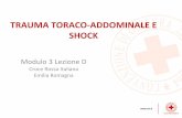 TRAUMA TORACO ADDOMINALE E SHOCK - … · Modulo 3 Lezione D Croce Rossa Italiana Emilia Romagna TRAUMA TORACO ...
