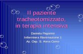 Il paziente tracheotomizzato, in terapia intensivaopicomo.it/documenti/Paganini.pdf · in terapia intensiva Daniela Paganini Infermiera Rianimazione 1 Az. Osp. S. Anna Como. ARGOMENTI