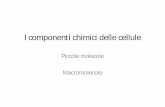 I componenti chimici delle cellule - Università di Cagliaripeople.unica.it/.../files/2011/10/03_Piccole-e-macro-molecole.pdf · Macromolecole. Piccole molecole. C, H, N ed O costituiscono