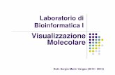 09 Visualizzazione molecolare - Bioinformaticsmolsim.sci.univr.it/2014_bioinfo1/09_Visualizzazione_molecolare.pdf · - Quali macromolecole contiene la struttura? - Quante catene ha