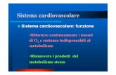 Sistema cardiovascolare - bromatosport.it · polmonare •Ognuna comprende: un settore di distribuzione ad alta pressione, una sezione vascolare e un sistema a ... •Gittata pulsatoria: