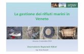 La gestione dei rifiuti marini in Veneto - Life Ghost - Homelife-ghost.eu/attachments/article/81/e. Rizzardi_ARPAV.pdf · •Vegetali (legno e alghe) Destino del rifiuto: smaltimento