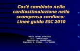 Indicazioni ragionate all’impianto di stimlatori biventricolari e... · PPT file · Web view2013-08-18 · Cos’è cambiato nella cardiostimolazione nello scompenso cardiaco: