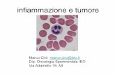 infiammazione e tumore - Web server per gli utenti dell ...users.unimi.it/minucci/Patologia_2017-2018/3-infiammazione-cancer.pdf · immunitaria ¤Inibizione ... Terapia anti-infiammatoria