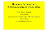 Muscolo Scheletrico 2. Biomeccanica muscolare - Carlo Capelli e... · Obiettivi! • Definizione dei determinanti della potenza meccanica espressa dal muscolo: forza e velocità •
