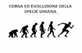 CORSA ED EVOLUZIONE DELLA SPECIE UMANA - Home - … ED... · •L'anatomia umana si è sviluppata più di 2 Milioni di Anni fa sotto la pressione e lo stimolo indotto da un’ ...