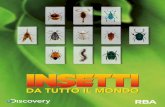 Scopri gli insetti più spettacolari - RBA Italia · Collezionali... se hai il coraggio! Un team di esperti ha scelto per te gli invertebrati più spettacolari che si possano trovare