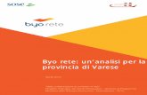 Byo rete: un’analisi per la provincia di Varese Sose 2012/Varese.pdf · Analisi della Struttura ... dell’applicazione dell’analisi di normalità e di congruità ... nel periodo