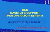 BLS – Basic Life Support · Corso BLS esecutore ... • LE MANOVRE DI RIANIMAZIONE PRECOCI E LA ... “ABC” della Rianimazione Cardiopolmonare AIRWAY (pervietà vie aeree)
