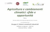 Agricoltura e cambiamenti climatici: sfide e opportunità · Agricoltura e cambiamenti climatici: sfide e ... Strategie di adattamento (2/3) Strategia Diversificazione e sostegno