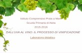 Istituto Comprensivo Praia a Mare Scuola Primaria di Aieta 2015 …uva al... · 2016-05-30 · Nel laboratorio specifico “Dall’uva al vino: ... in quanto si è attuato un coinvolgimento