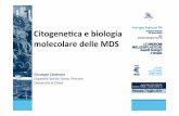 Citogene1ca e biologia molecolare delle MDS - Siematologia · Citogenetica nella MDS •Risultati 1. •L’analisi in SKY ha permesso di: •ridefinire il cariotipo in 17/18 casi