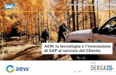 AEW: la tecnologia e l’innovazione di SAP al servizio del ... · Implementazione - 2 Soluzione Benefici ... fotovoltaico, teleriscaldamento e biomasse.” ... • I Totem multifunzione: