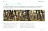 DI SCIENZA N.18 APRILE 2017 A spasso verso il bosco · se ne sono andati anche i rumori e sono comparsi più licheni rivelando forse nuovi suoni. Le performance con cui le piante