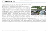 Comitato, ultimi tentativi per salvare i platani di viale Galliano · viale Galliano| Sono già comparsi cartelli per difendere gli alberi FOTO MARCHIORI domenica 15 giugno 2014 –