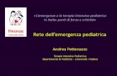 Firenze 1 Dicembre 2011 Rete dell’emergenza … 1 Dicembre 2011 «L’emergenza e la terapia intensiva pediatrica in Italia: punti di forza e criticità» Rete dell’emergenza pediatrica