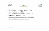 Contributi per la tutela della biodiversità delle zone umide · Daniele Badaloni (Parco Regionale Castelli Romani), Sara Baiocchi, Serena Bernabei (ISPRA), Nicola Bettoso (ARPA Friuli