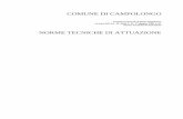 COMUNE DI CAMPOLONGO · 2012-04-11 · Art. 2 Valore prescrittivo degli elementi costitutivi 4 ... Sezione IIa Servizi ed impianti di interesse comune 31 ... Tav. 10.3 Carta della
