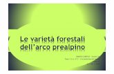 Le varietà forestali dell’arco prealpino · L’Italia per la particolare ... insulare e quella di pianura ... Il castagno è stato un albero fondamentale per la vita di