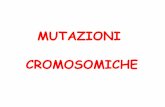 Mutaz Cromosomiche-131209 [modalità compatibilità] · TRASLOCAZIONE ROBERTSONIANA) ROBERTSONIANA) SARàSARà 46, 46, XXXXo XY, +21 o XY, +21 SEGNI CARATTERISTICI DELLA SINDROME