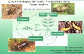 Qualità biologica dei suoli: il contributo della fauna edafica · Classificazione in accordo con le preferenze ecofisiologiche 6. ... • c-p 5: nematodi con cicli vitale più lunghi