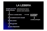 LA LEBBRA - paleopatologia.it lebbra.pdf · • caso dalla necropoli longobarda di Vicenne (Molise) del VII-VIII secolo d.C. ... Buona alimentazione sviluppo lento della malattia