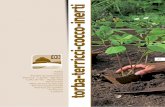 torba-terricci-cocco-inerti torba - terricci - cocco - inerti cocco Cocco E. codice descrizione TOCOCB5 panetto di cocco dischi per coltivazione in idroponica “vaso” confezione
