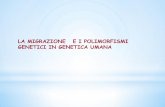 LA MIGRAZIONE E I POLIMORFISMI GENETICI IN GENETICA UMANA · Migration – is the crossing of the boundary of a political or administrative unit for a certain minimum period of time.