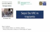 Sepsi Da VRE in trapianto - mcrferrara.org · Sepsi Da VRE in trapianto Mauro Codeluppi, Clinica Malattie Infettive Az. Policlinico, Modena; Modulo professionale complesso di Infettivologia
