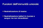 Funzioni dell’immunità umorale - omero.farm.unipi.itomero.farm.unipi.it/matdidFarm/74/Immuno5.pdf · riconoscimento congiunto •le cellule th e i linfociti b riconoscono lo stesso