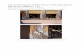 Report sui danni registrati a San Felice sul Panaro (MO) in seguito ... · Figura 2 – Fessurazione del pannello di tamponatura in laterizio in seguito alla perdita di verticalità