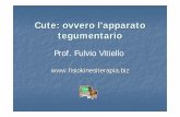Prof. Fulvio Vitiello - Fisiokinesiterapiafisiokinesiterapia-news.it/NewDownload/Cute.pdf · anche le ghiandole sudoripare, i bulbi piliferi, le ghiandole sebacee e numerose strutture