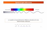 Lo spettro di assorbimento riflette la struttura di una ...people.unica.it/michelabegala/files/2010/10/MF2.pdf · elettrico Meccanica classica. 42 L’oscillazione dell ’onda elettromagnetica