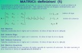 MATRICI: definizioni (1) - mozzanica.net Dispense SBIO/2016-2017... · 4 MATRICI: definizioni (4) Def. Matrice Emisimmetrica ... L’insieme delle matrici di tipo m x n costituisce,