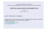 Università degli Studi di Palermo Corso di Laurea ...mcardax.weebly.com/uploads/2/4/6/2/24623449/slides_psicol... · Corso di Laurea Magistrale «PSICOLOGIA DEL CICLO DI ... prof.